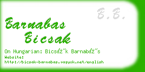 barnabas bicsak business card